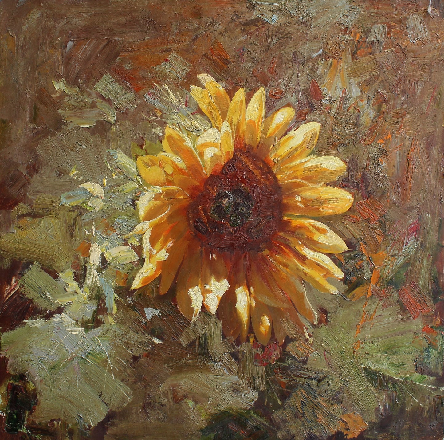 Un seul tournesol au soleil