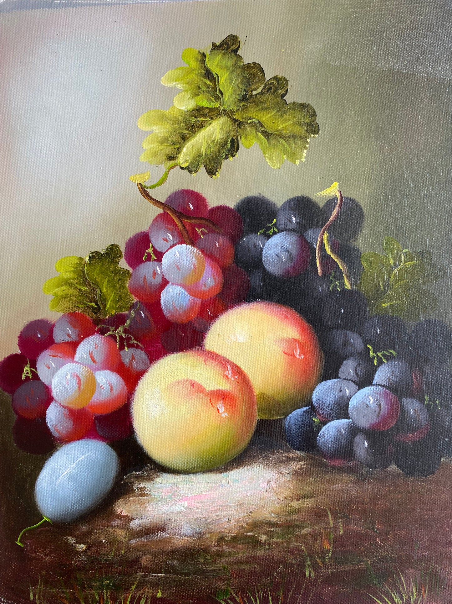 Nature morte de fruits dans la nature