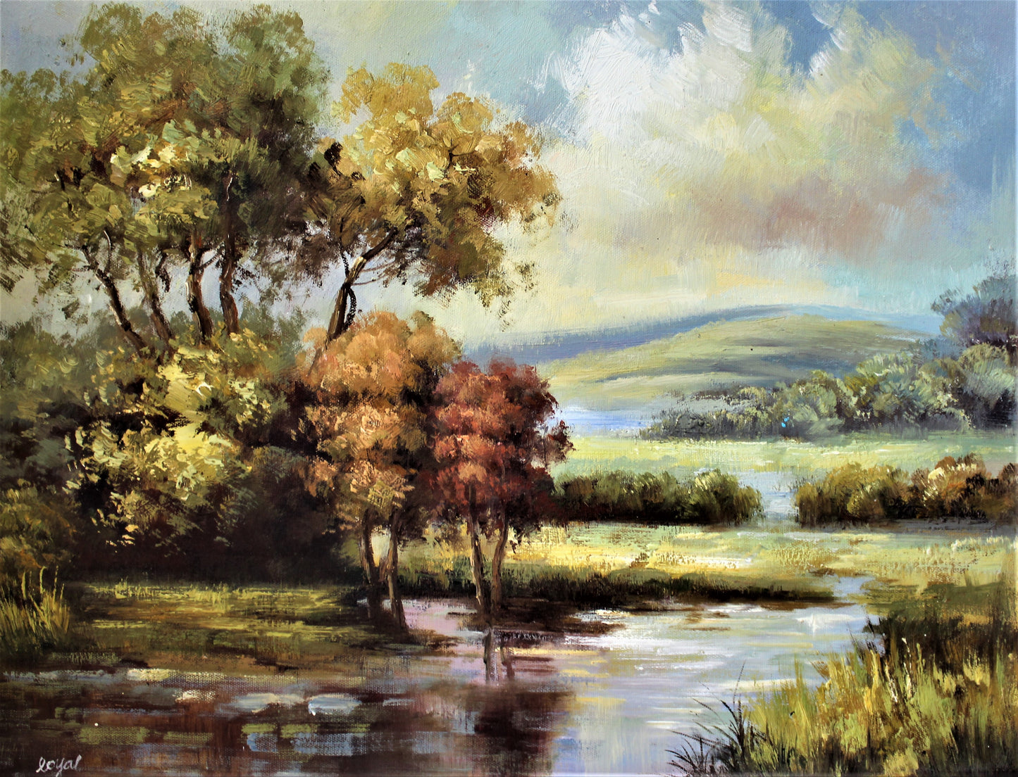 Paysage avec marais