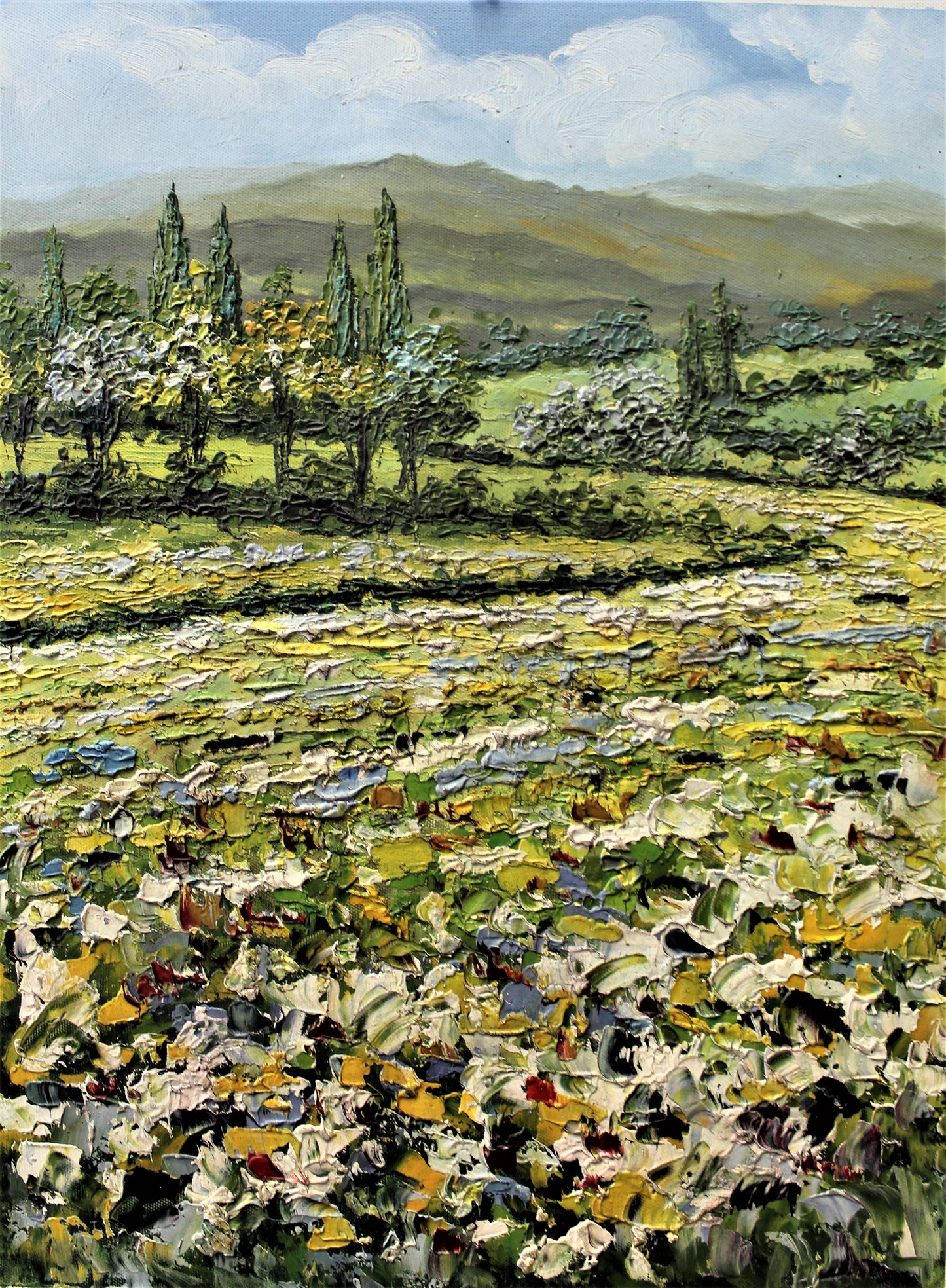 Champ de fleurs sauvages avec des montagnes au loin