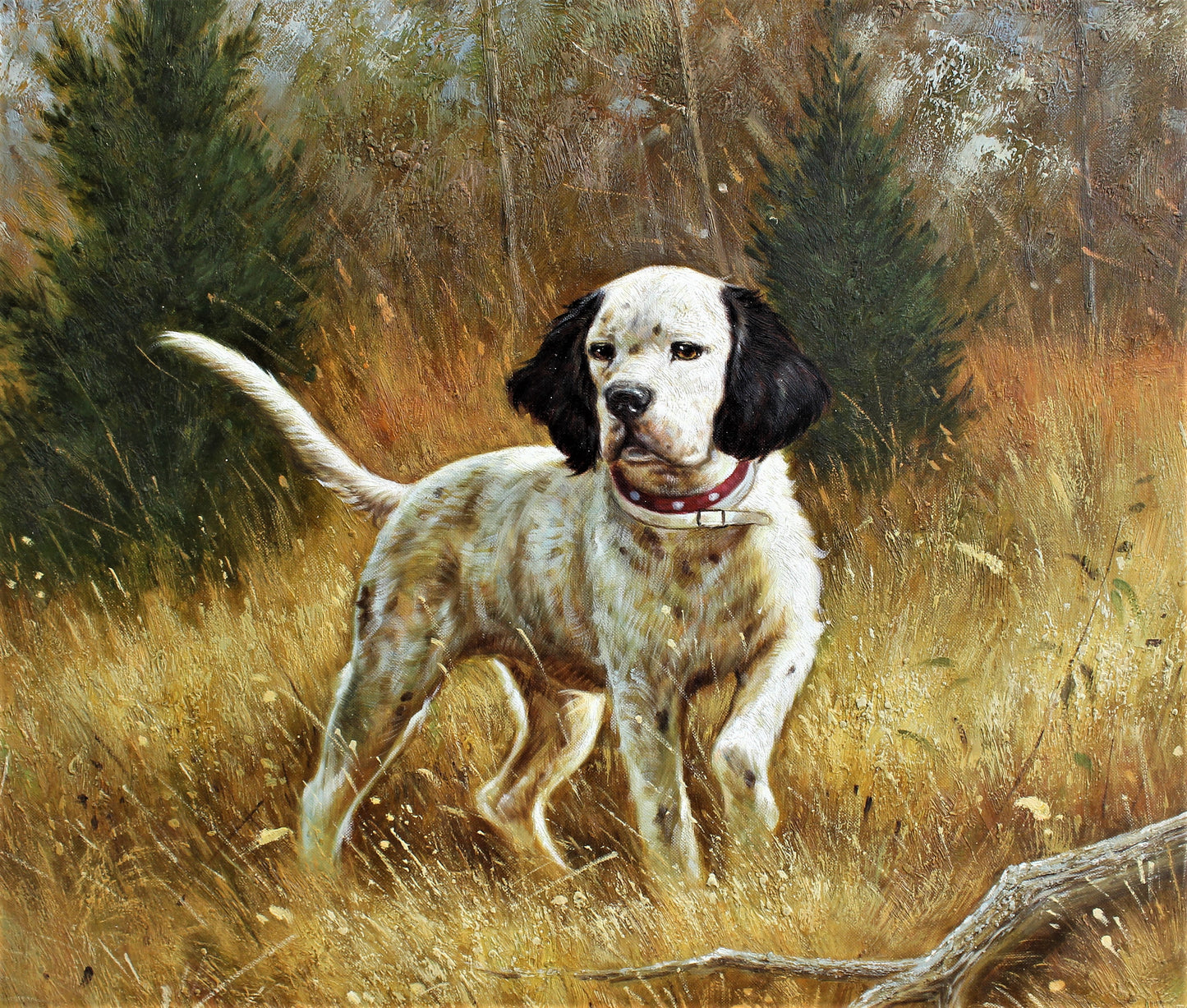 Chien de chasse dans un champ