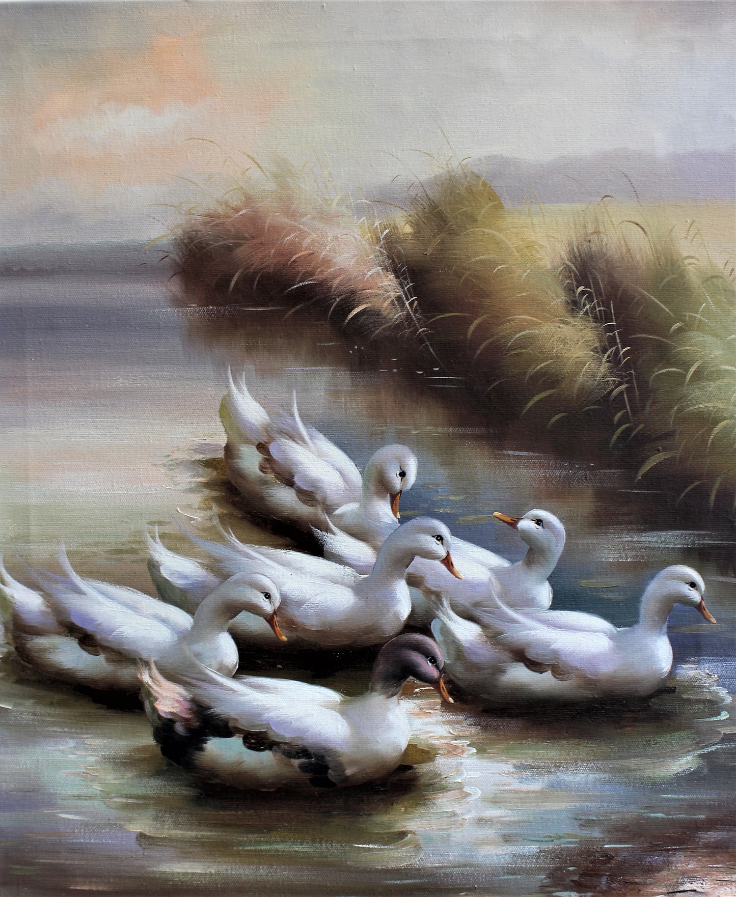 Un groupe de canards nageant
