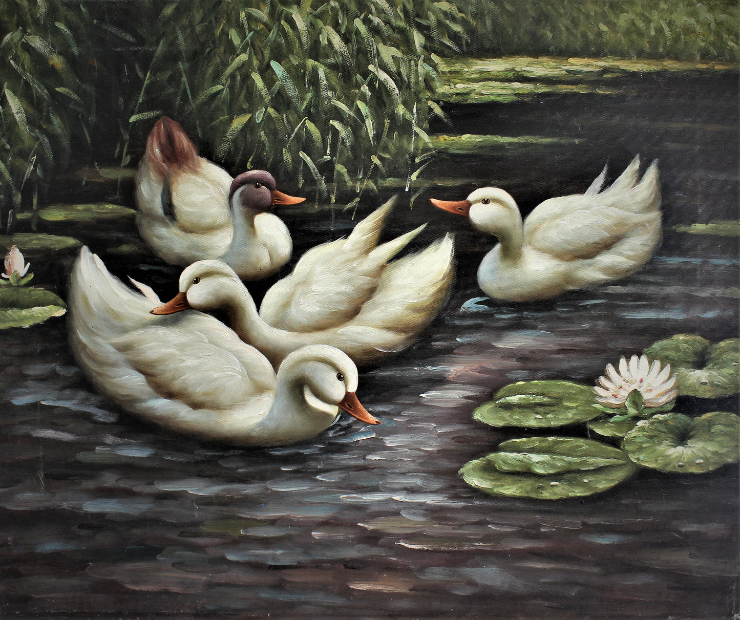 Canards et nénuphars