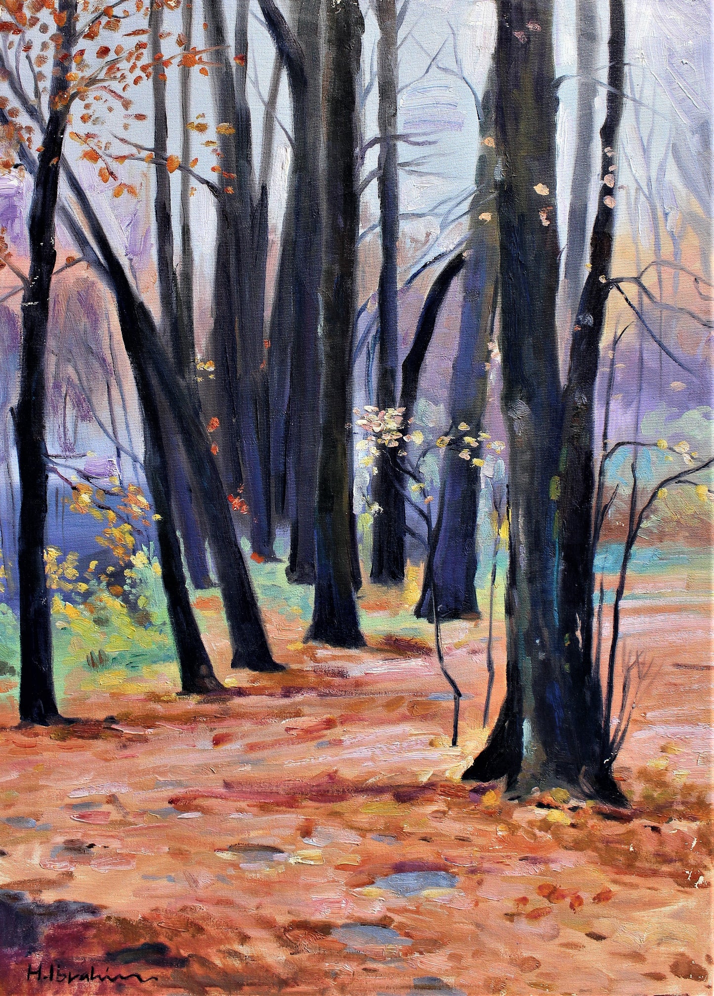 Chemin forestier avec des arbres sombres