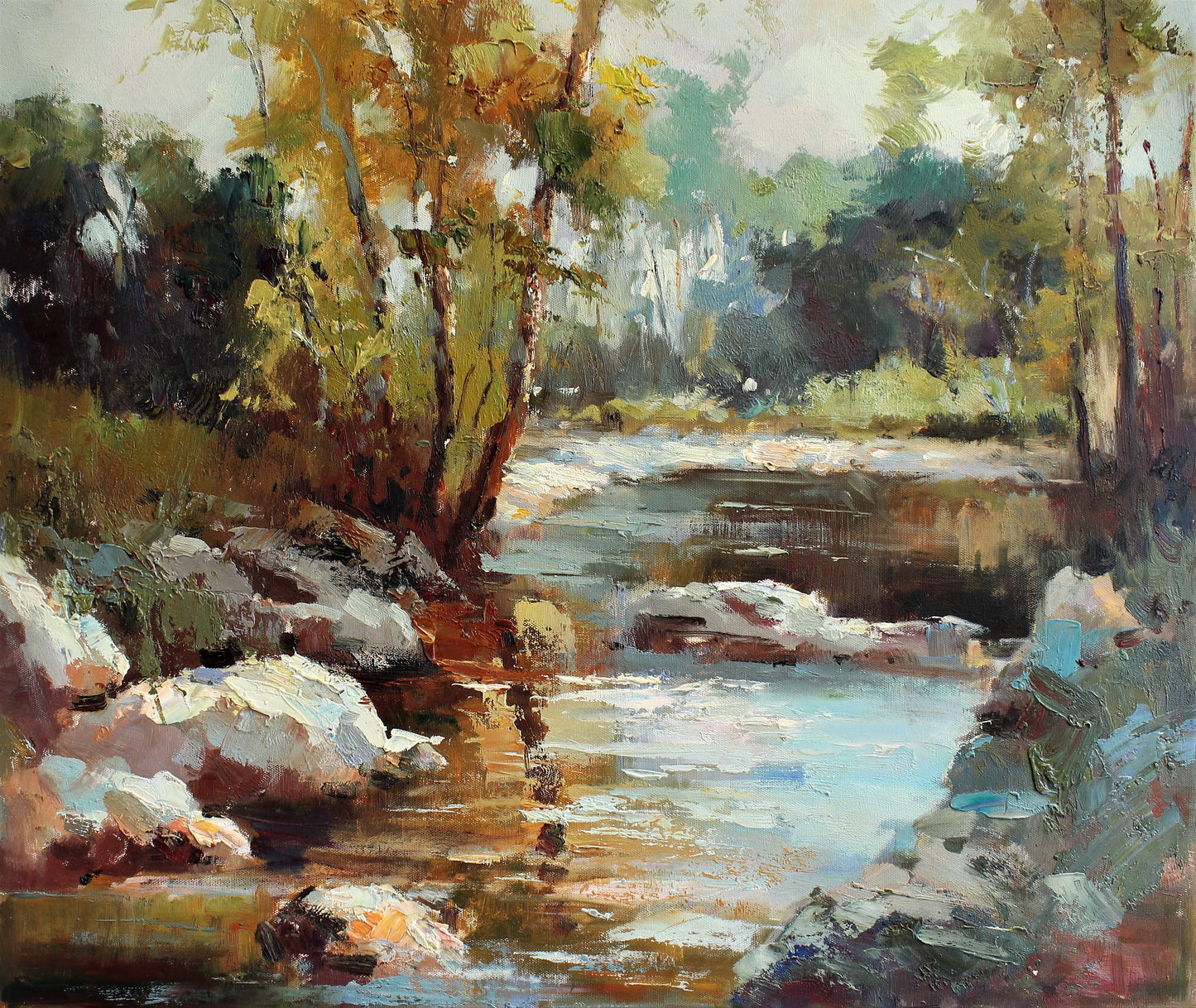 Rivière rocheuse avec des arbres