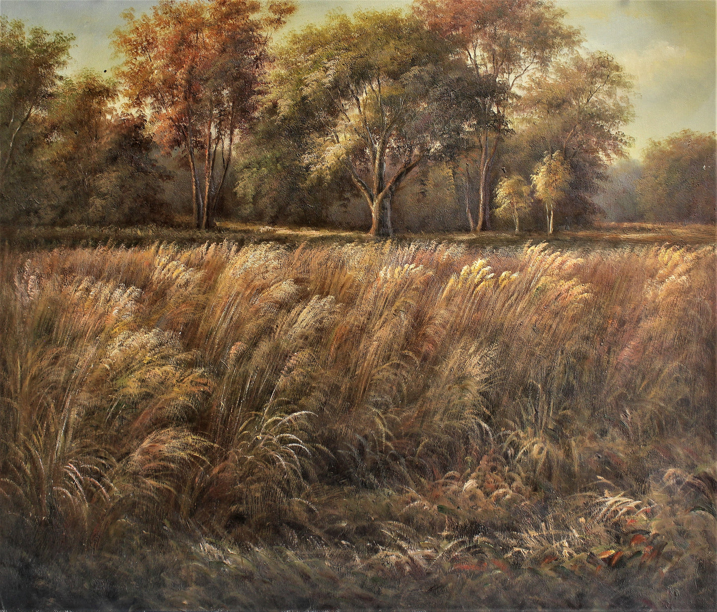 Champ de blé avec des arbres au loin