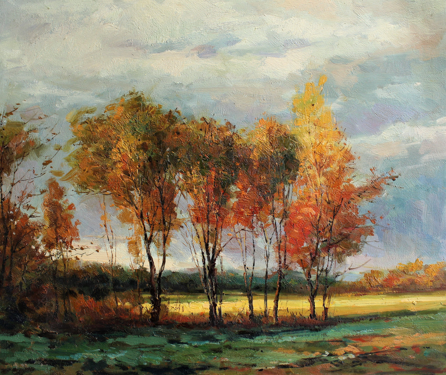 Arbres aux feuilles changeantes dans un champ