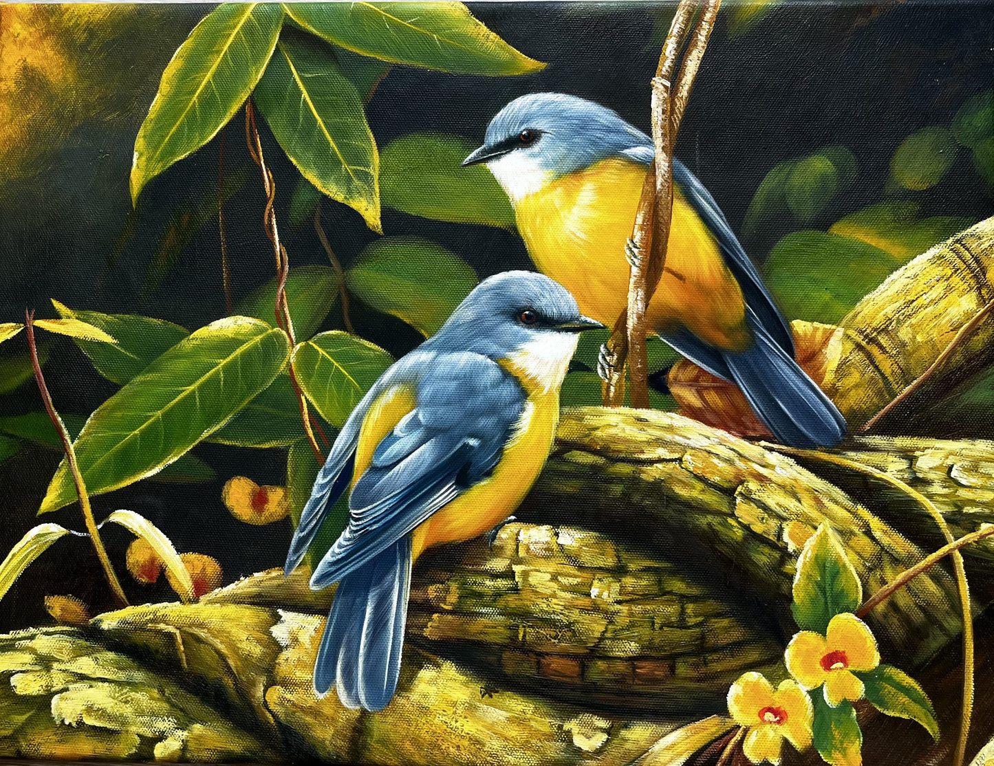 Two blue and yellow birds