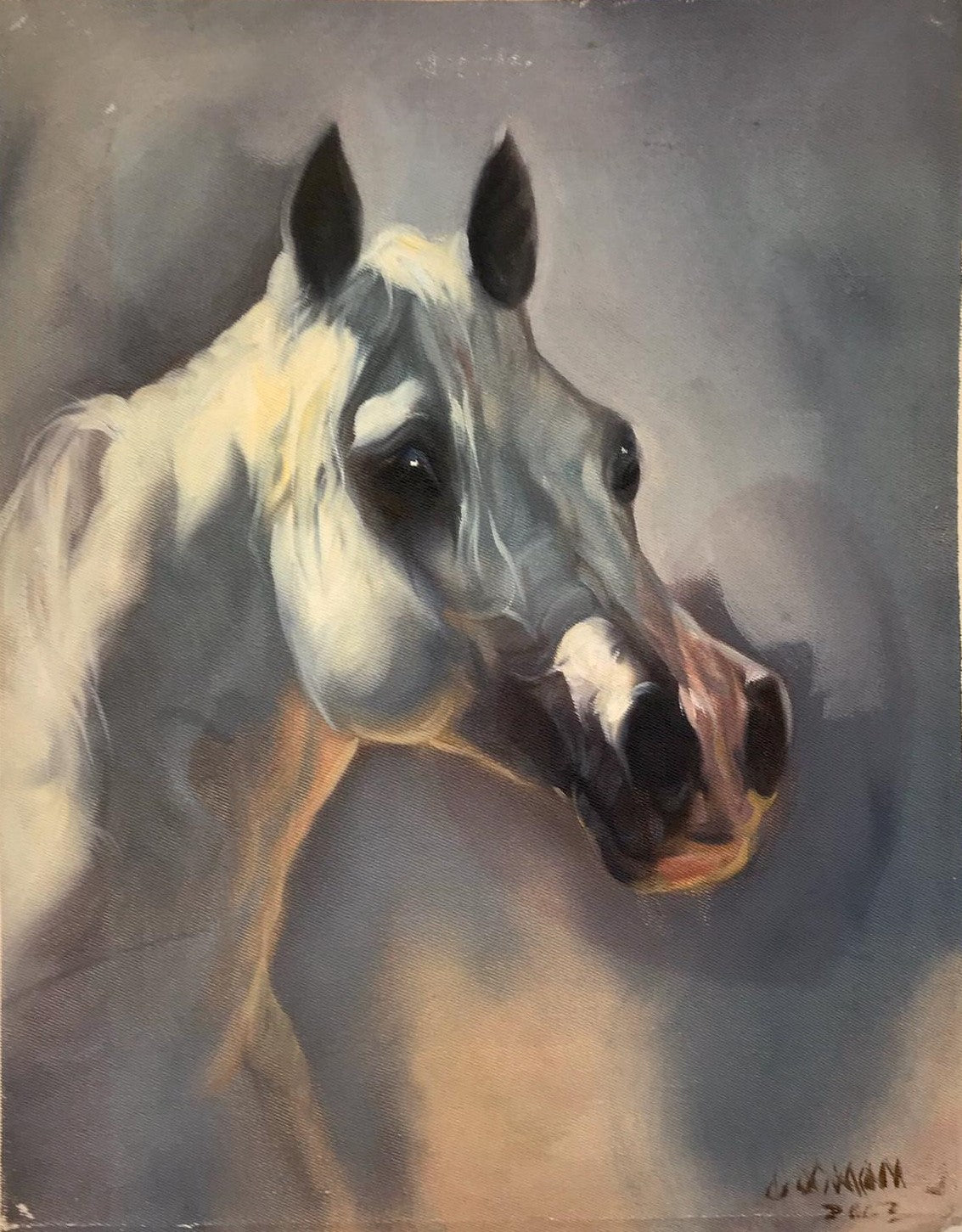 Portrait de cheval
