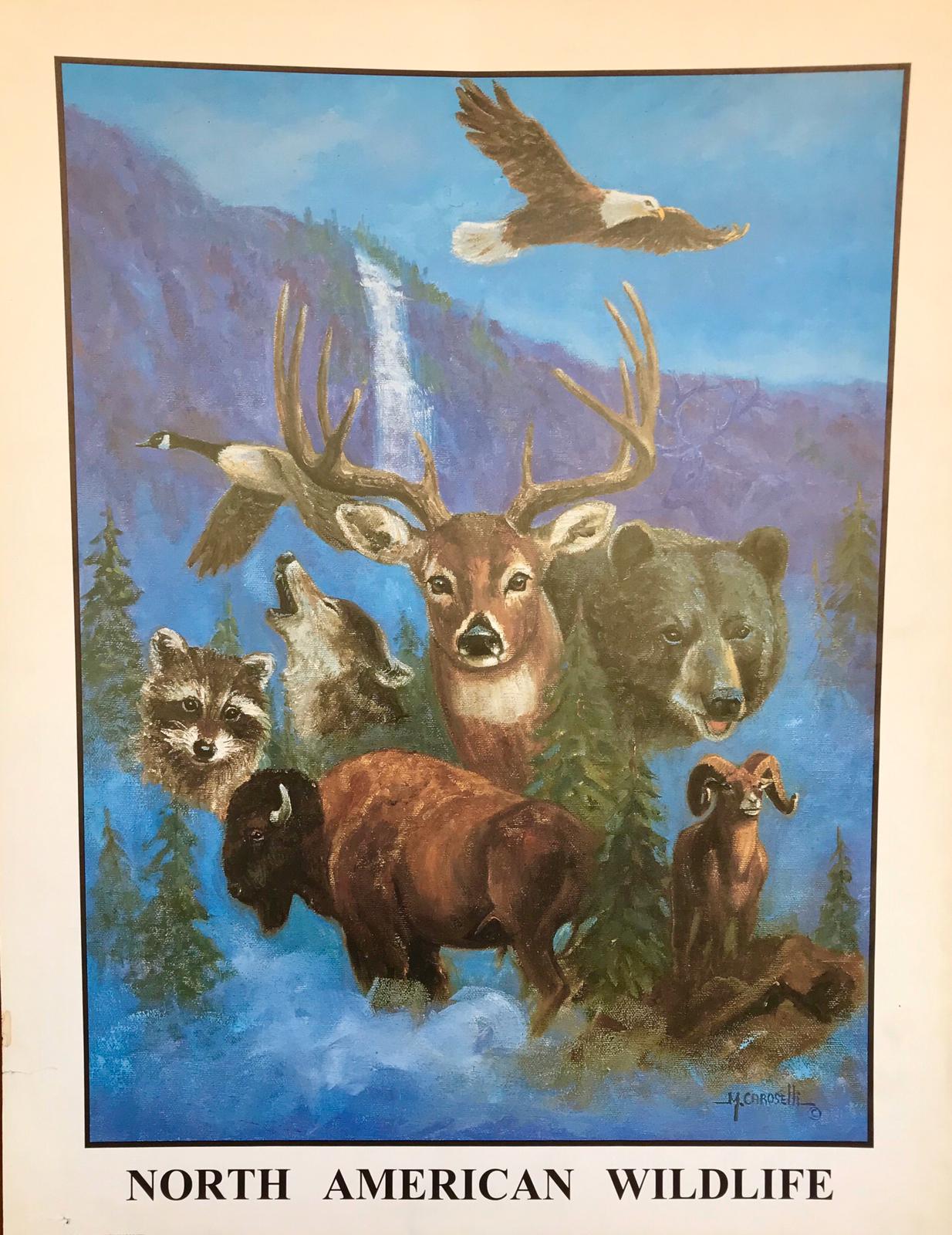 Poster of North American Wildlife