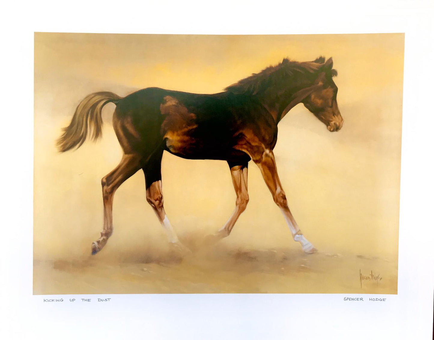 Poster of young horse
