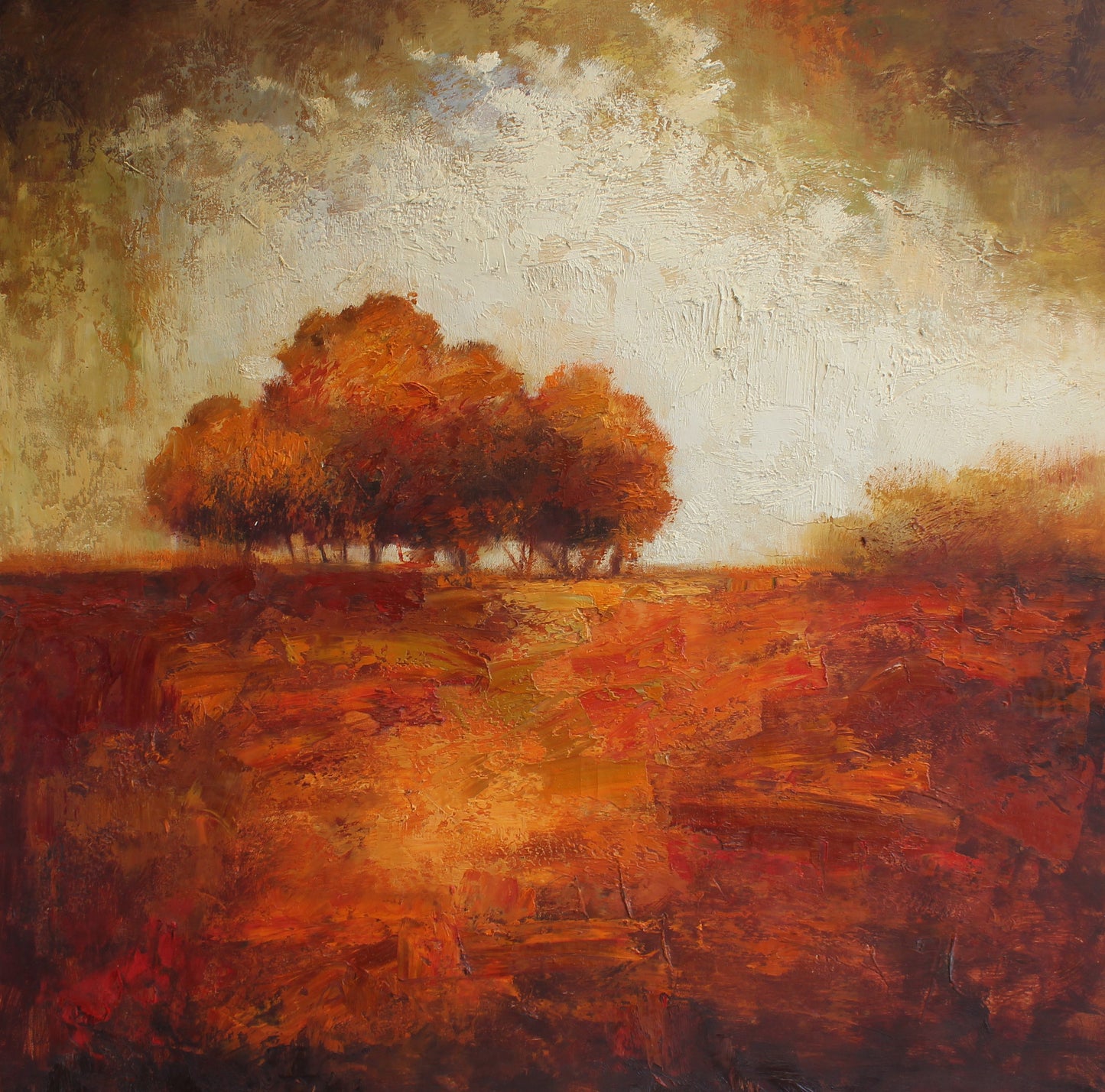 Des arbres et un champ en orange et marron