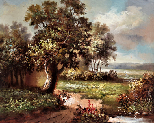 Paysage avec sentier sinueux