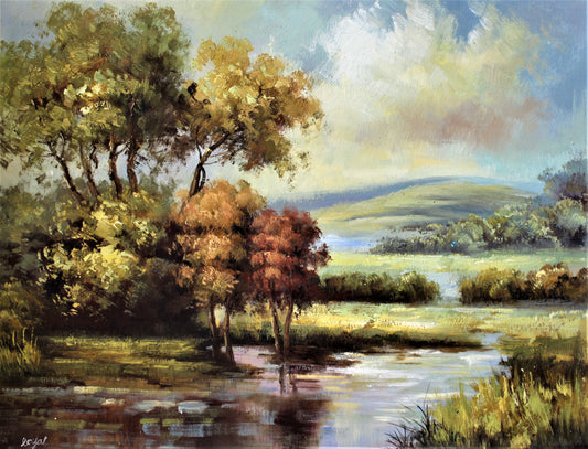 Marsh with hills in the distance