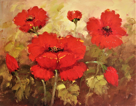 A field of poppy flowers