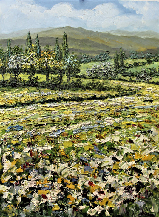 Field of wild flowers with distant mountains