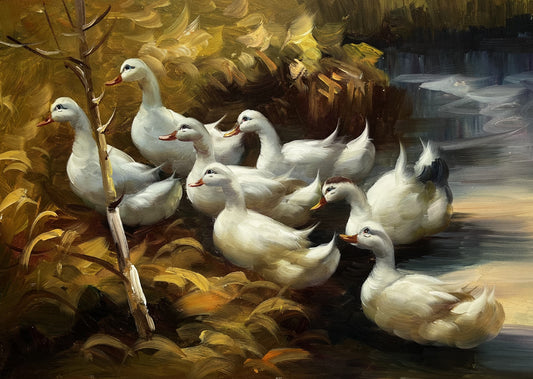 Group of ducks emerging from the water