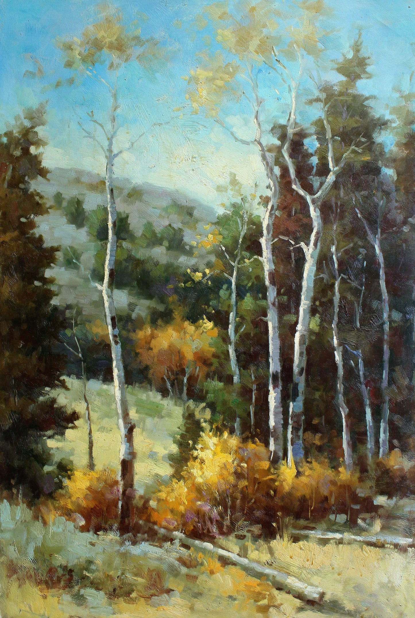 Des bouleaux près d'une montagne
