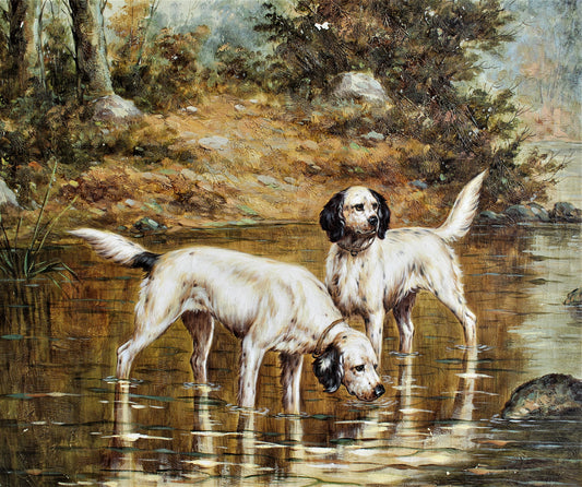 Deux chiens debout dans l'eau peu profonde