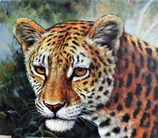Portrait d'un guépard