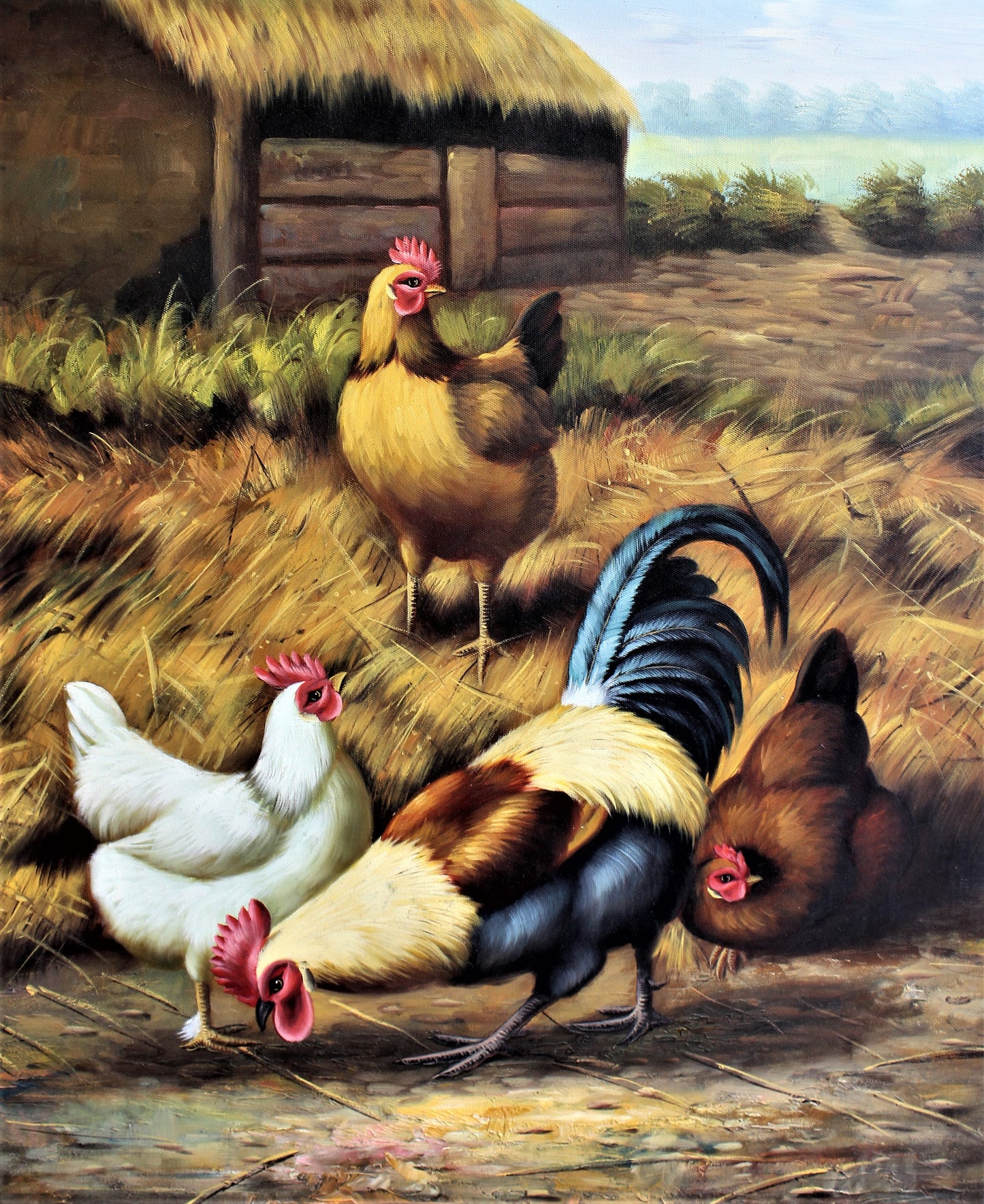 Quatre poulets de ferme
