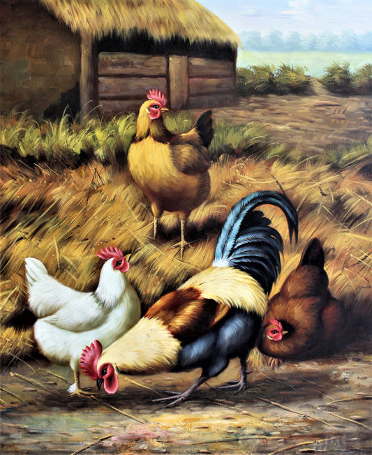 Quatre poulets de ferme