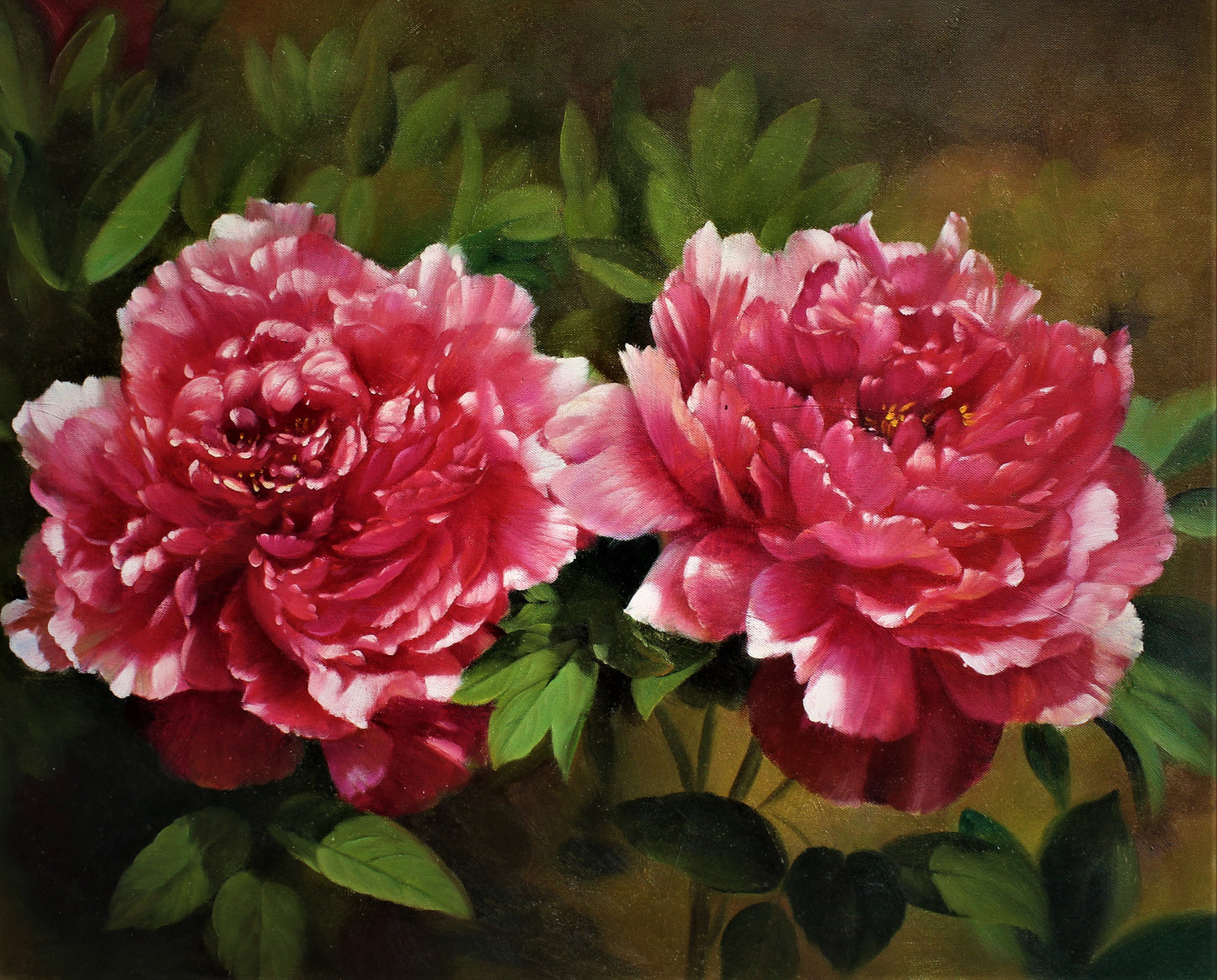 Deux pivoines roses dans un jardin