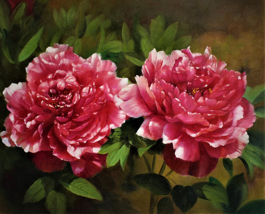 Deux pivoines roses dans un jardin