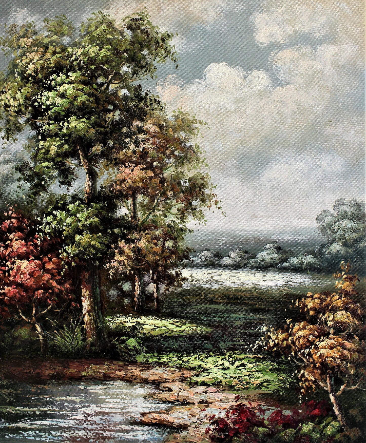 Étang dans une forêt paisible