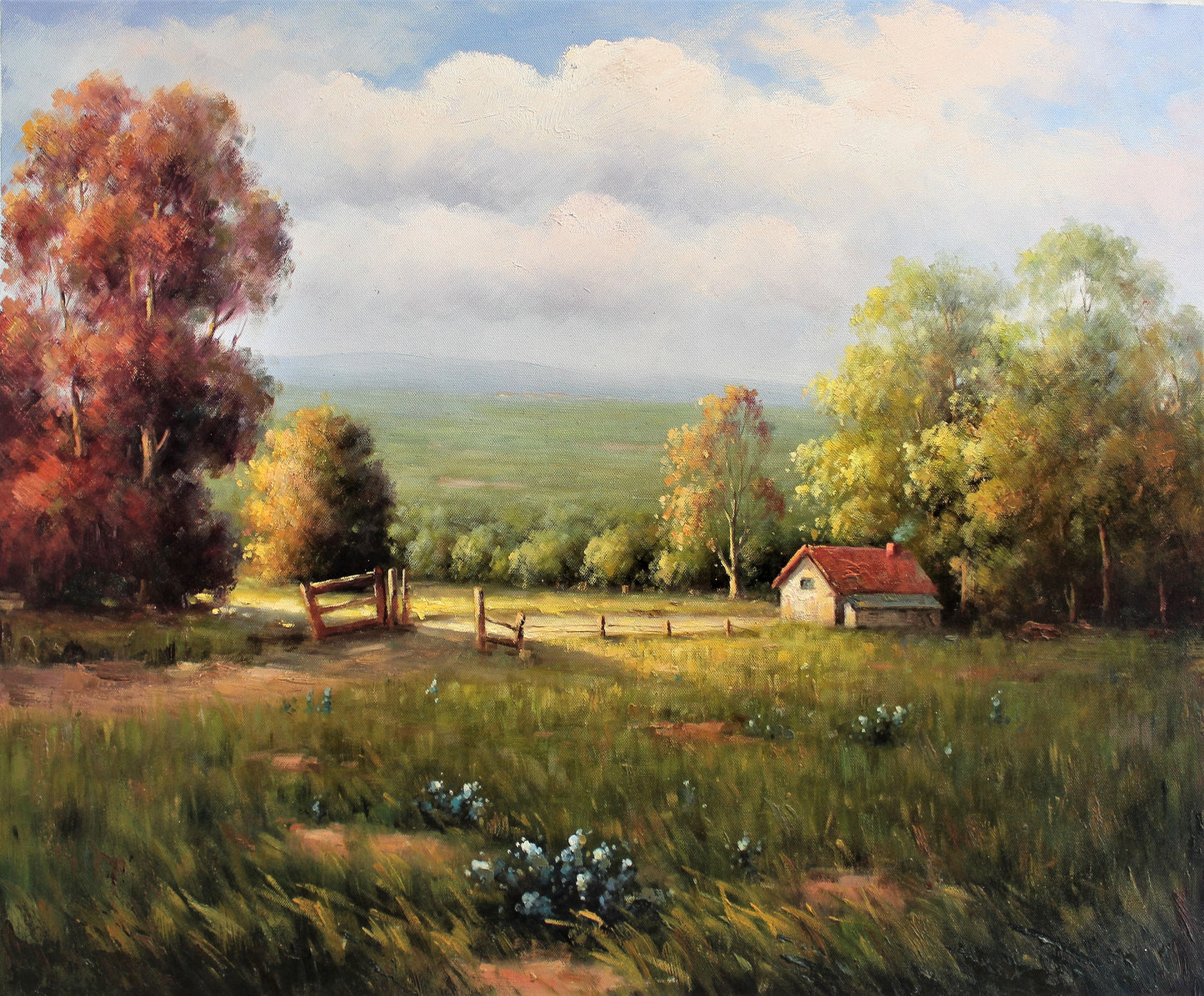 Terrain paisible avec petit chalet