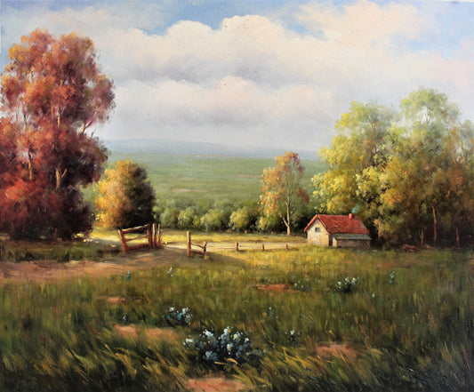 Terrain paisible avec petit chalet