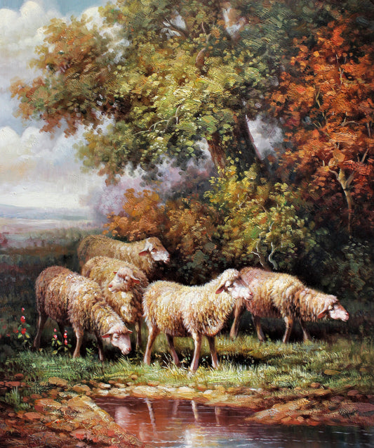 Moutons paissant au bord d'un ruisseau