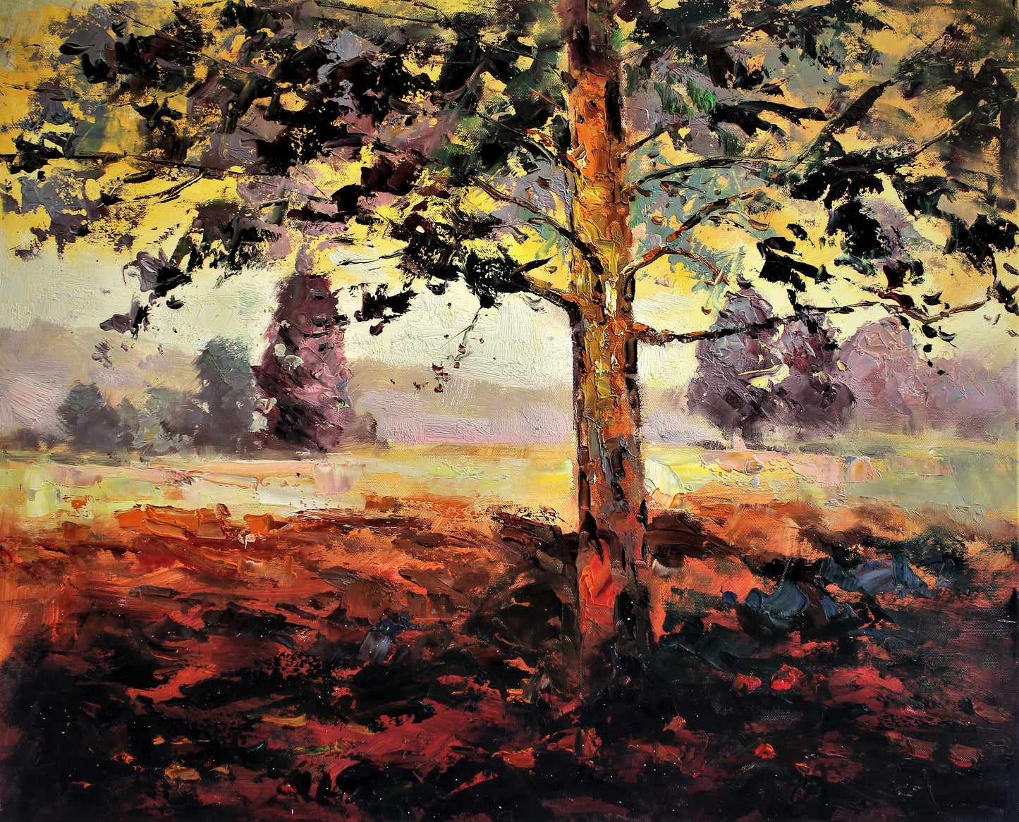 Arbre au milieu d'un champ ensoleillé