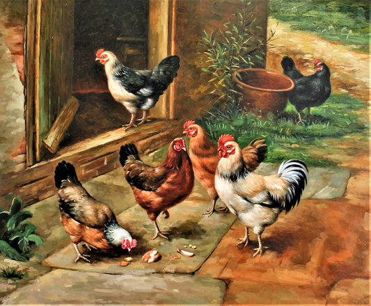 Six poulets mangeant dehors