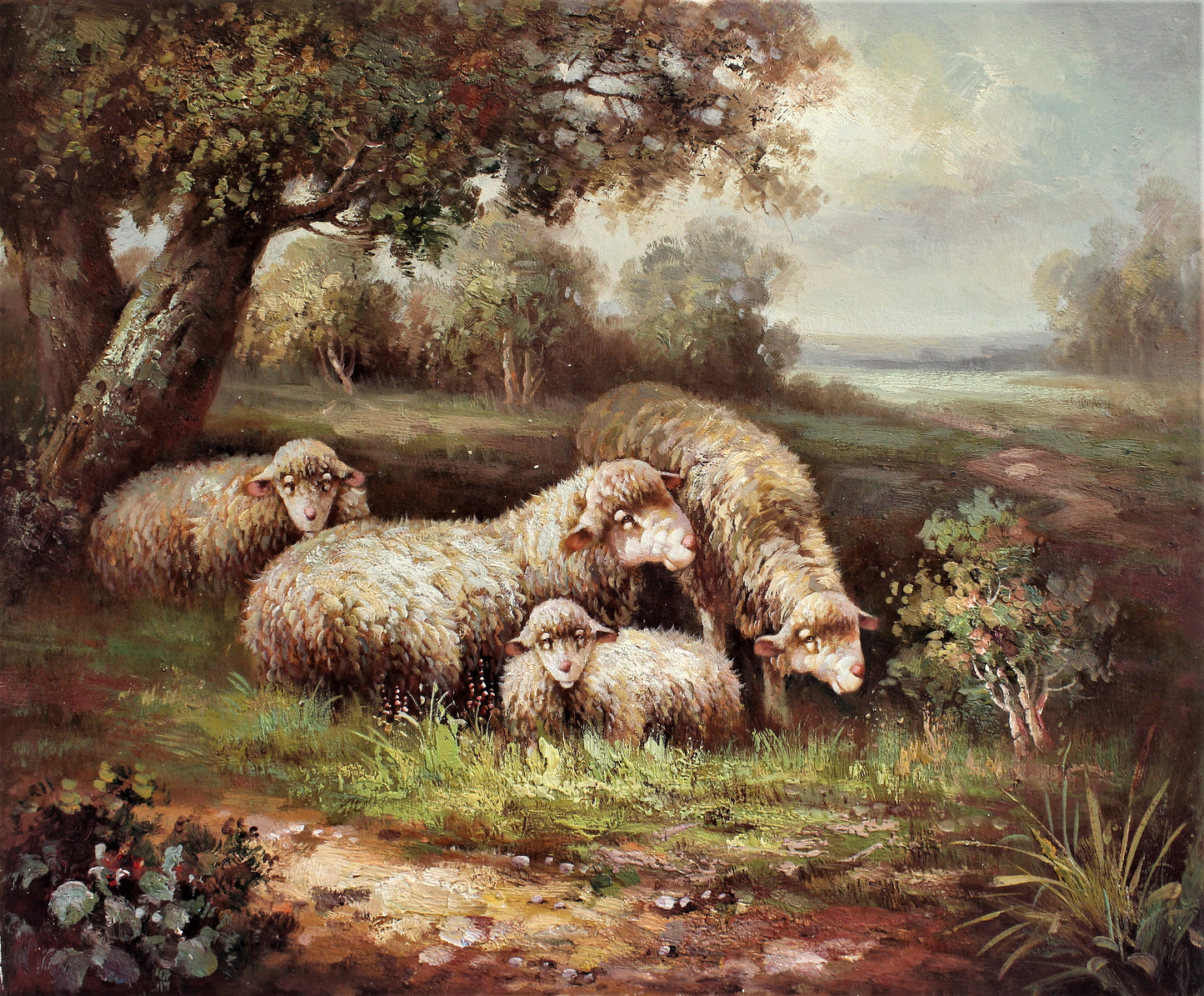 Moutons dans le pré