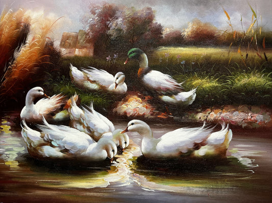 Ducks on rivers edge