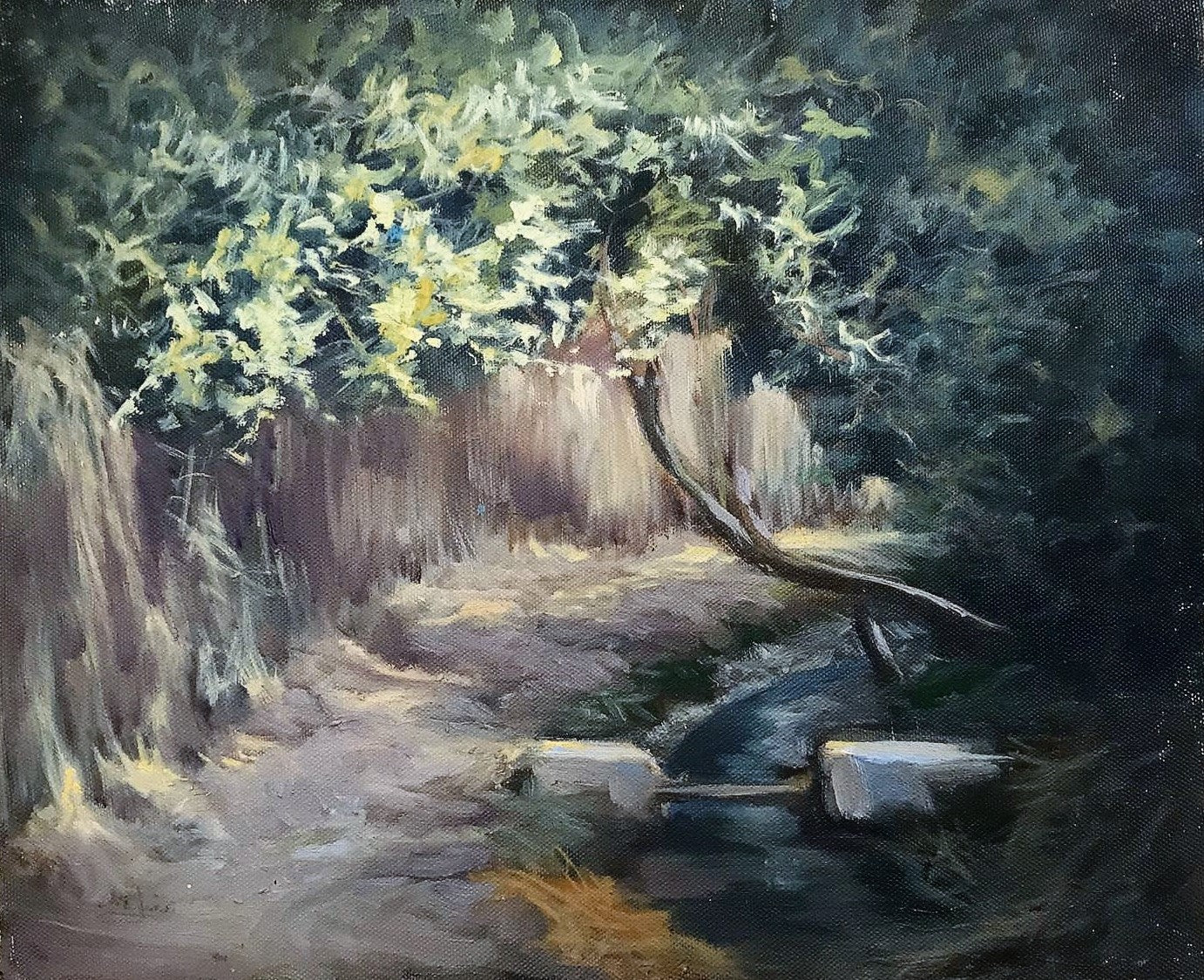 Sentier au bord d'un ruisseau